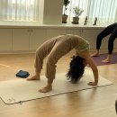 일공공일안경수정점 | 청주 요가 즐겁게 하려면 무조건! 요가,바다