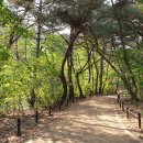 강림면사무소 이미지