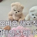 해외직구테디몰