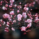 동도사 - 용인시 처인구 이동면 | 동도사