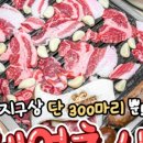 삼미축산