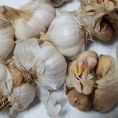 만재농장 이미지