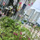 꽃수레화원 이미지