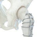 주)올소테크 이미지