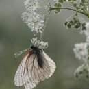 연분(緣分)과 인연(因緣) 이미지