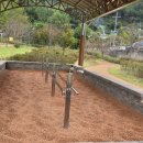 한들공원 이미지