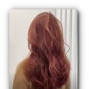 분당-311 이미지