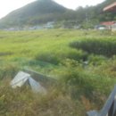 옥도면 주민센터 이미지