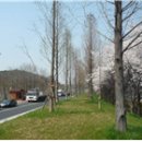 고속도로졸음쉼터 이미지