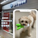 야옹아 멍멍해봐 별내점 | 암사역에 위치한 반려동물 무인 용품점 &#39;야옹아 멍멍해봐&#39; 방문 후기