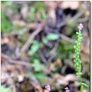 영월산방 이미지