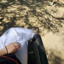 &#39;팔로우미투어&#39; | 스페인 바르셀로나 가우디 반나절 버스 투어 솔직후기/준비물