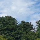 우니메이카 포천점 이미지