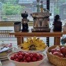 정선뜰 펜션 | 강원도 정선펜션 <정선뜰펜션>에서 힐링하고 온 후기