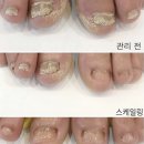 NAIL풍경