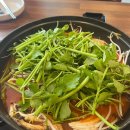 (주)초원그린푸드