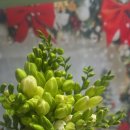 송현농장 이미지