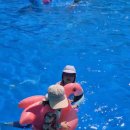 투앤디 썰매수영장 이미지