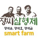 장씨삼형제하수오삼계탕 - 홍성군 | 장씨삼형제하수오삼계탕