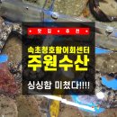 [강원 / 속초] 속초청호활어회센터, 싱싱함 미쳤다...대박인 활어회 포장 맛집 ‘주원수산’ 솔직후기!!!