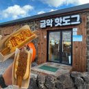 금악핫도그 | [금오름 근처 맛집/내돈내산] 제주 흑돼지 소시지를 사용한 핫도그 찐 맛집 ‘금악핫도그’