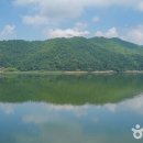 원평공설시장(김제원평시장) 티스토리