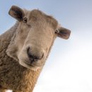 네모네모 이미지