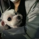 성빈식육식당 이미지