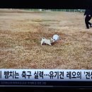 임실군청(농업축산과) 네이버블로그