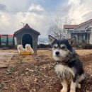 시골길펜션 2동 이미지