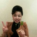 한정근 | 군산야행후기 군산축제 군산문화예술 군산최고의볼거리 군산인 ᆢ