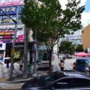 백송치과의원 이미지