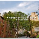 부동산멘토공인중개사사무소 이미지