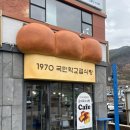 광양매화축제 개화상태 국내패키지여행 승우여행사