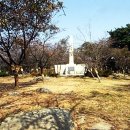 순천-50호 Daum카페