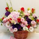 산등성 선배님의 생신을 축하 드립니다. 이미지