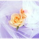 빛 살 -울림 이미지