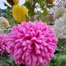 미술가의 삶과 작품을 나의 작품으로 이미지