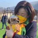 야호펫 이미지
