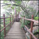 쌍용아파트 건너편 이미지