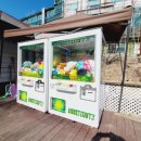 산속애견 이미지