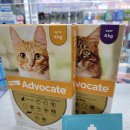 구리보룡약국 이미지