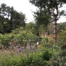 두일보건진료소 이미지