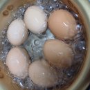 계란삶기 이미지