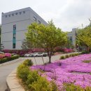 화성초록병원 이미지