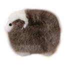 양양오토자동차 이미지