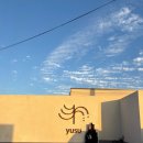 스테이 유수 이미지