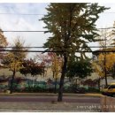 닭누리정 이미지