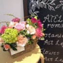 보태니컬아트 이미지