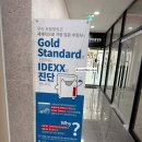 멍냥동물약국 이미지